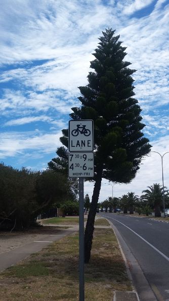 Adelaide fietspad.jpg