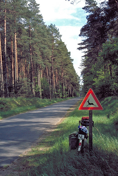 Bossen bij Fleeth-klein.jpg