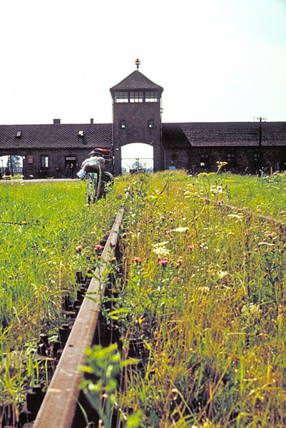 Dodenpoort Auschwitz-Birkenau.jpg