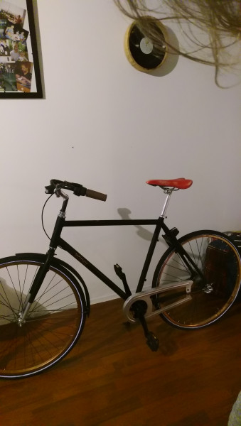 IMAG0065.jpg