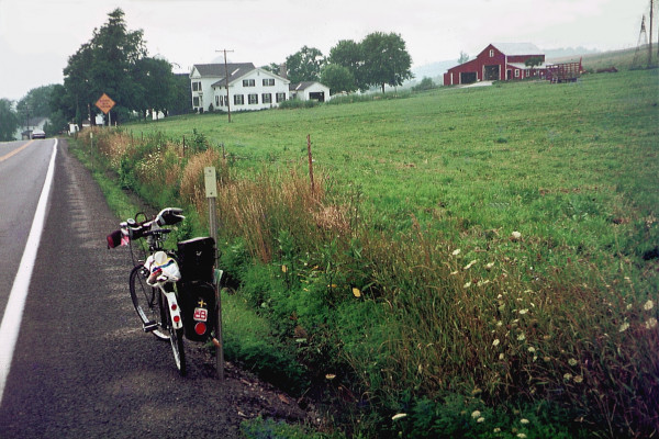 Fietsen door N.Y (klein).jpg