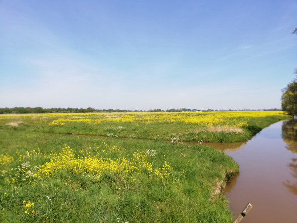 Oud-Maarsseveen 1.jpg