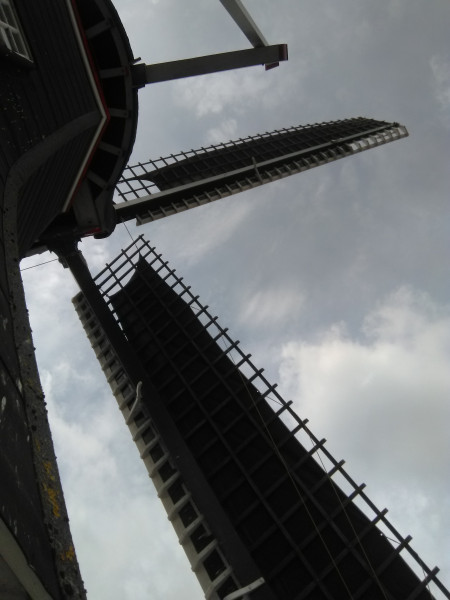 IMG_20200719_123633.jpg