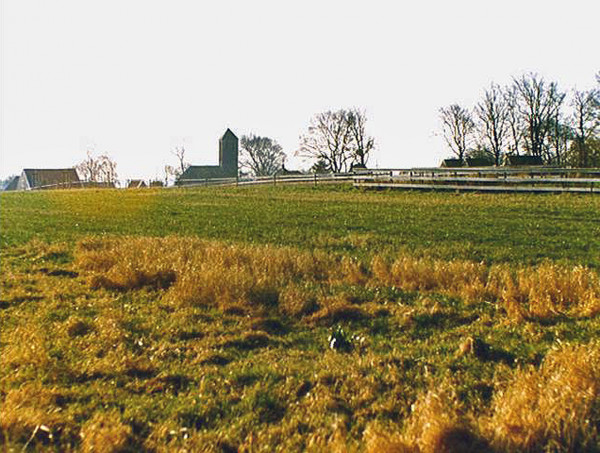 Landschap Wieringen.jpg