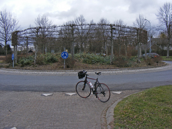 DSCF4311.JPG