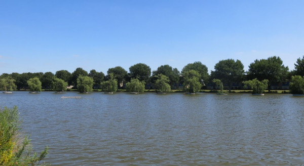 Knipselv.JPG