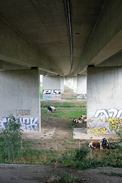 arnhem-brug.jpg