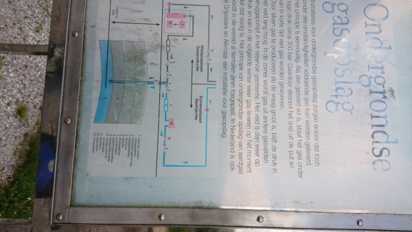 20190509_1350_DSC_2418_H8416 (Medium).JPG