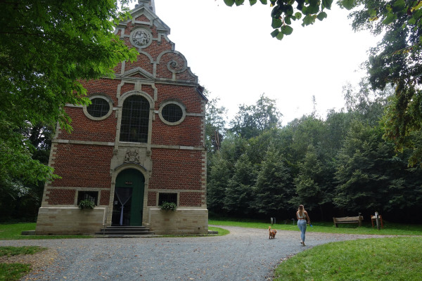 hondje.jpg
