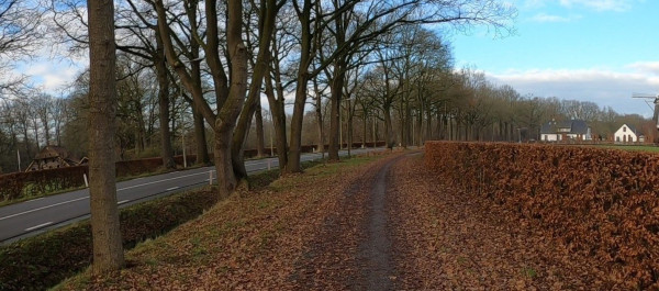 foto molen.jpg