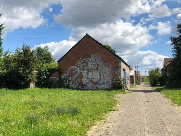 IMG_7242.jpeg