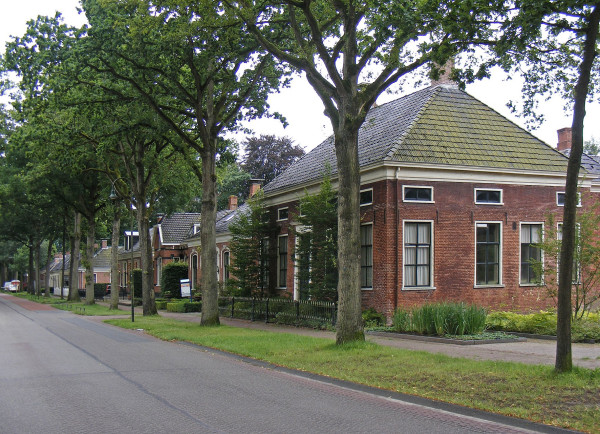 Eikenbomen.jpg