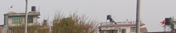 vlaggen.jpg