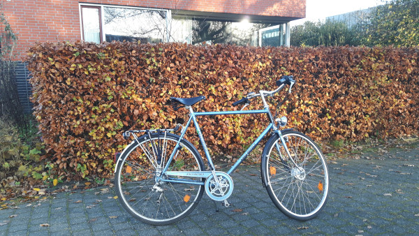 Stadsfiets WIm.jpg