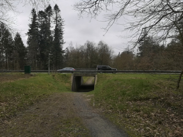 tunneltje.jpg