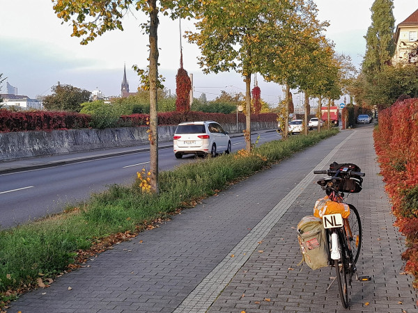 Fietspad herfstkleuren.jpg