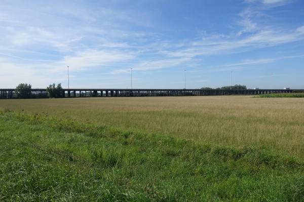 weg04.jpg