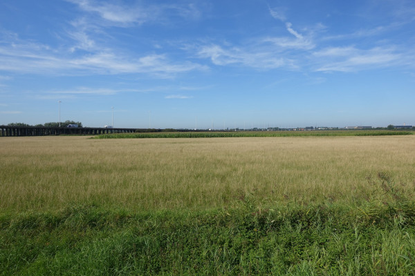 weg05b.jpg