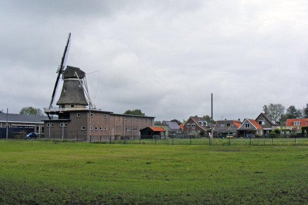 DSCF4595.JPG