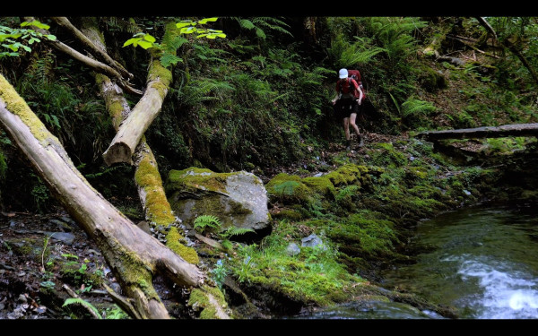 Screenshot_20250805_064040_Vimeo.jpg