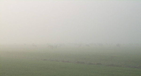 DSCN1036.JPG