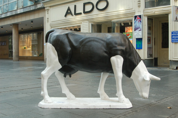 DSC_4115.JPG