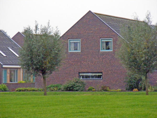 Huis met gezichtsuitdrukking.jpg