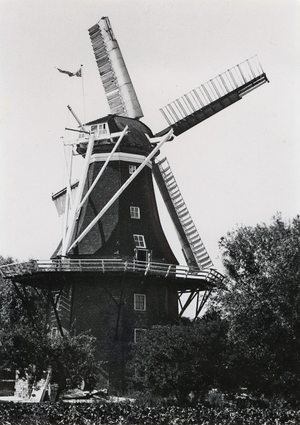 De molen draaiend zonder.....jpg