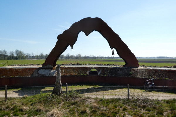 P1040595 (Large).JPG