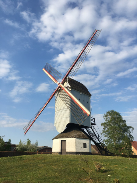 4.jpg (1.43 MiB) 2716 keer bekeken 4.jpg