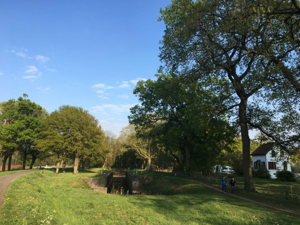 5.jpg (1.85 MiB) 2716 keer bekeken 5.jpg