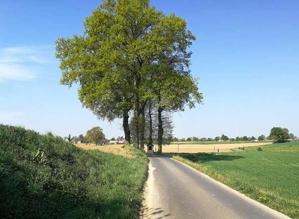 boomkapel.jpg
