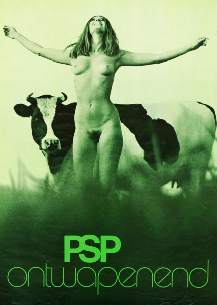 psp.jpg