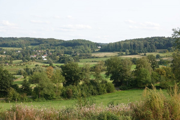 DSC03395k.JPG